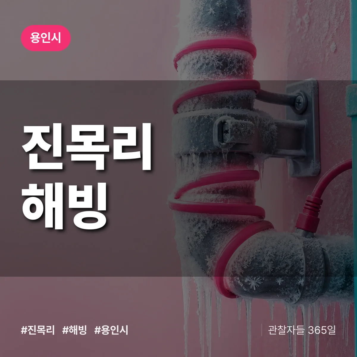 진목리 해빙 배너