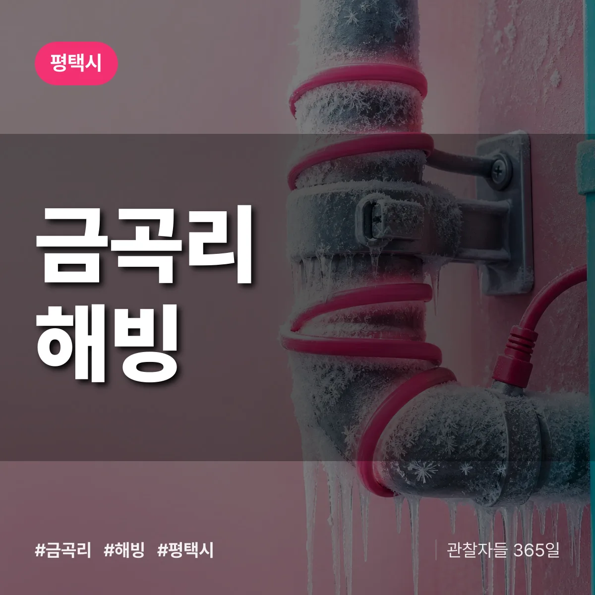 경기 평택시 금곡리 해빙 배너