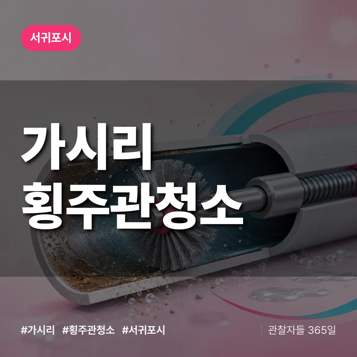 가시리 횡주관청소 배너