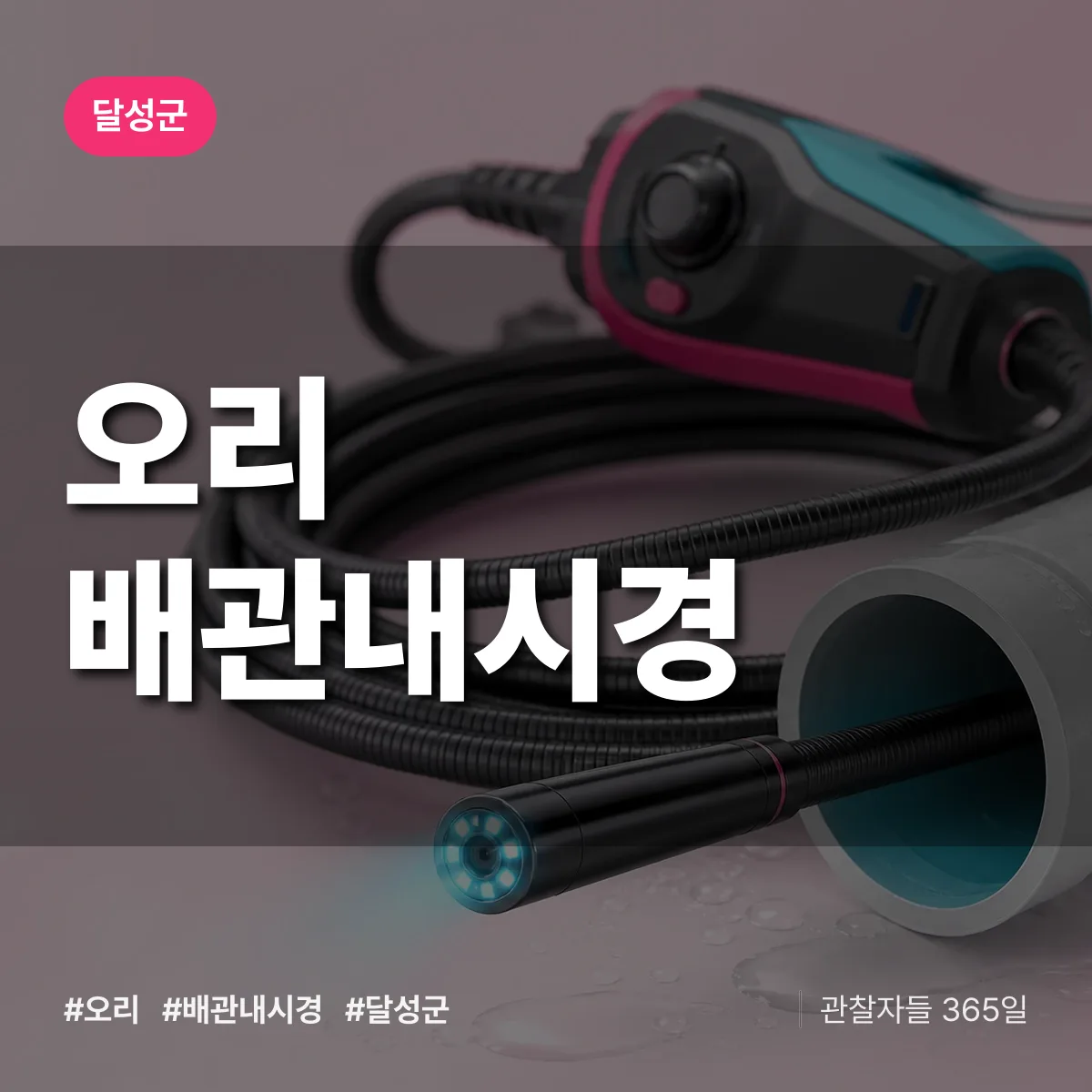 오리 배관내시경 배너
