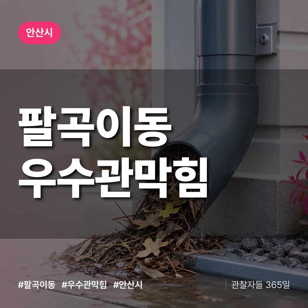 팔곡이동 우수관막힘 배너