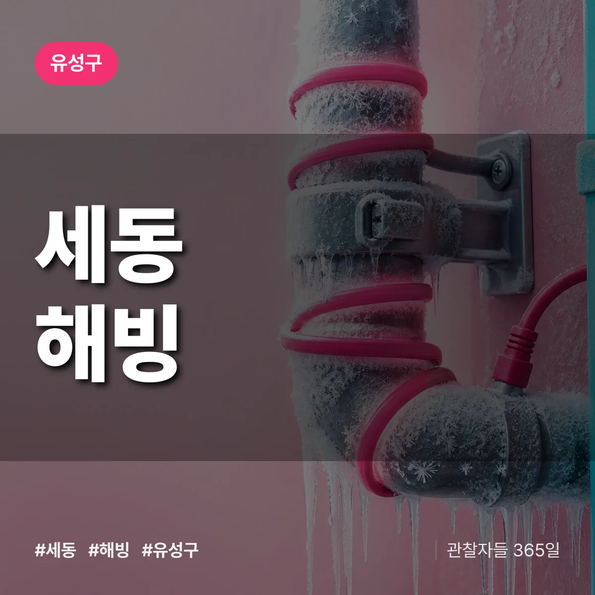 세동 해빙 배너
