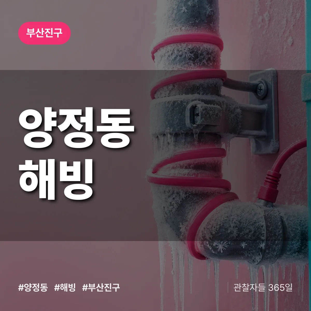 양정동 해빙 배너