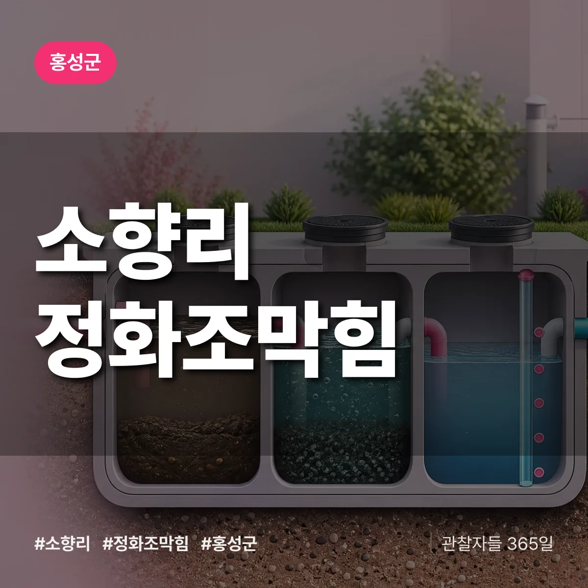 소향리 정화조막힘 배너