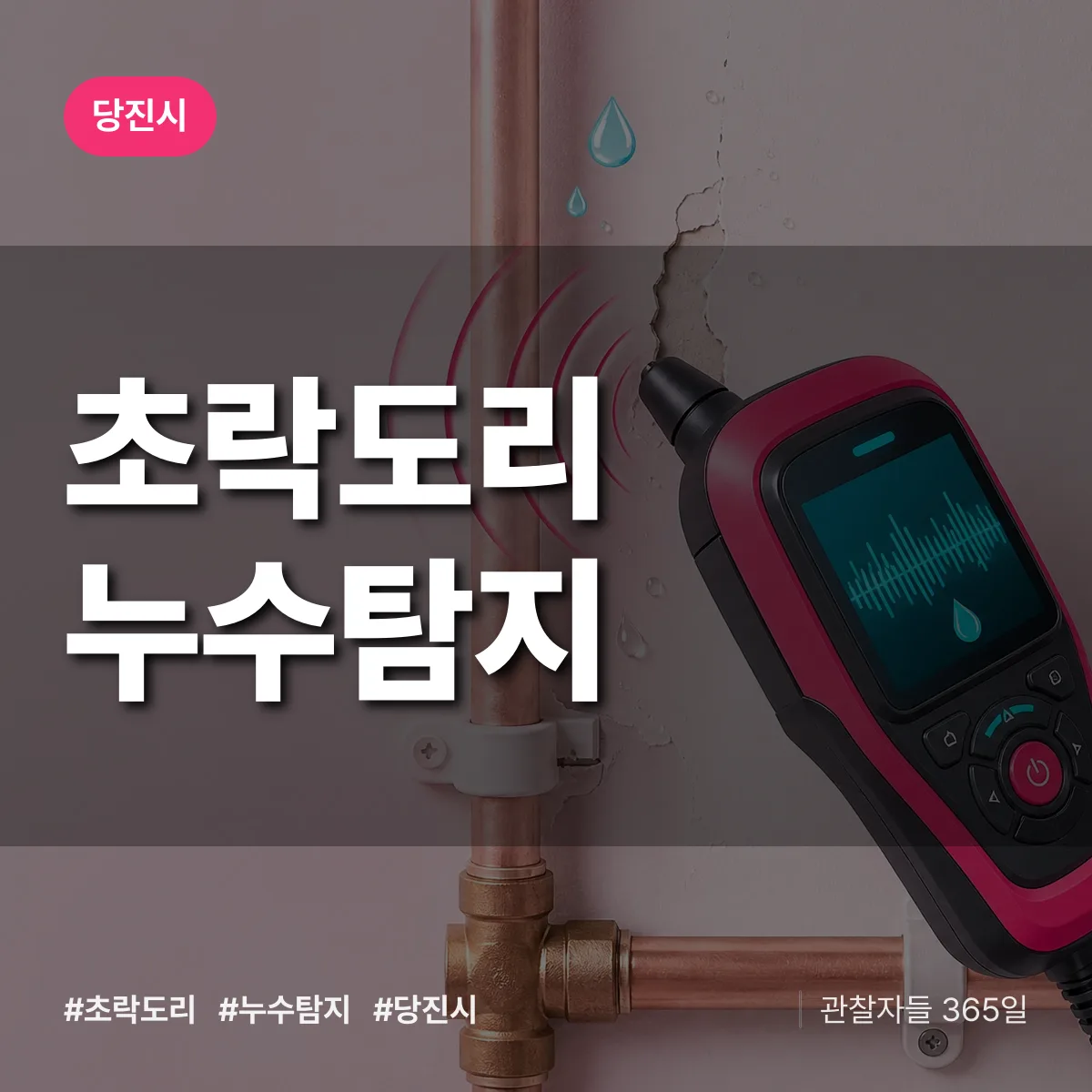 초락도리 누수탐지 배너