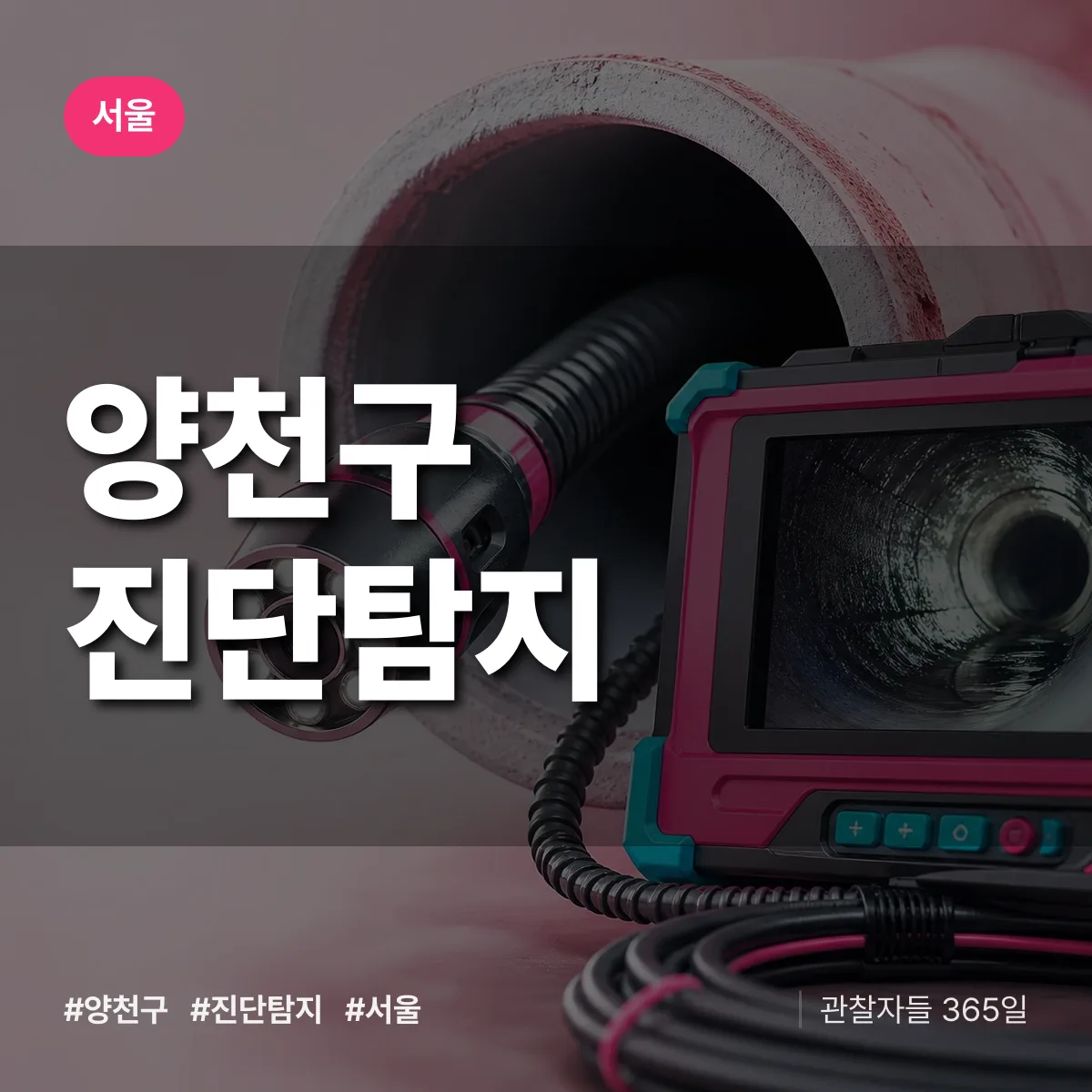 서울 양천구 진단/탐지 상담 배너