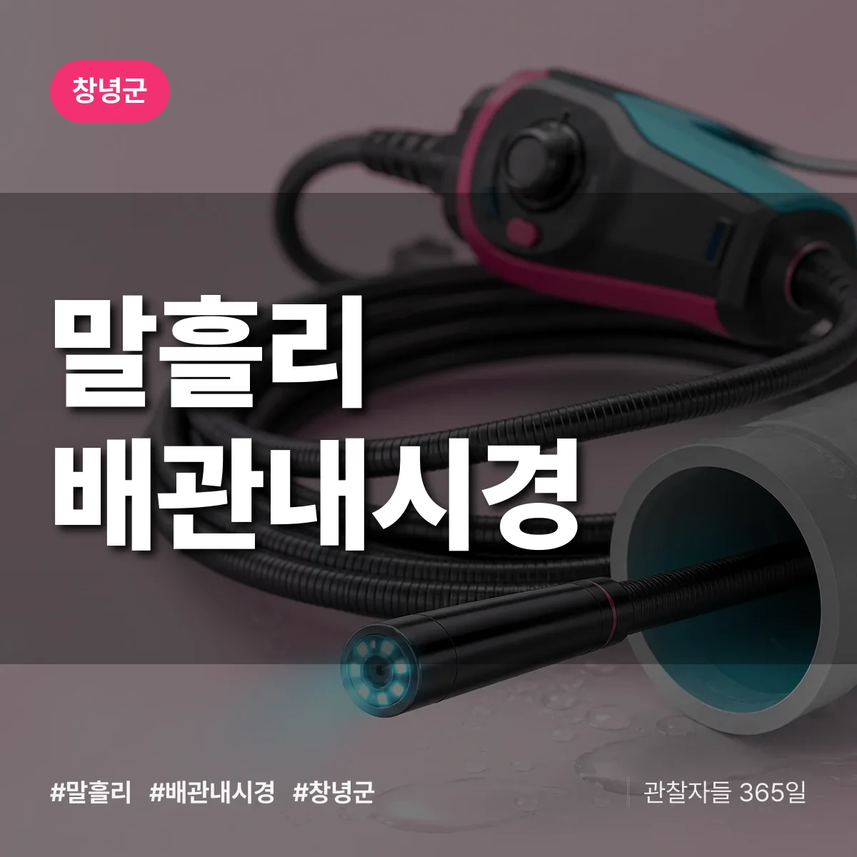 말흘리 배관내시경 배너
