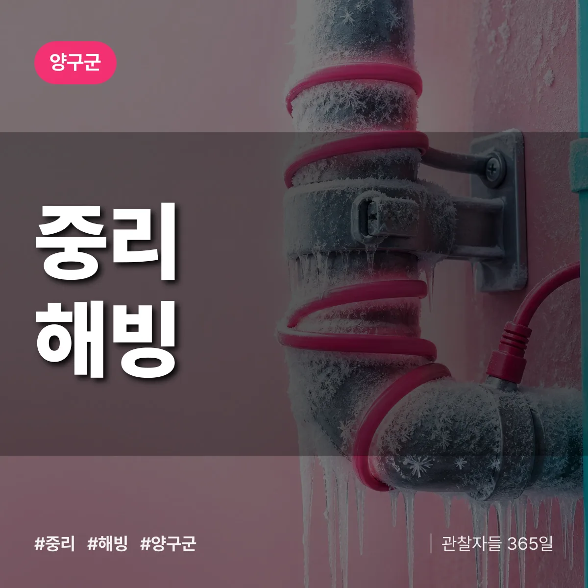 중리 해빙 배너