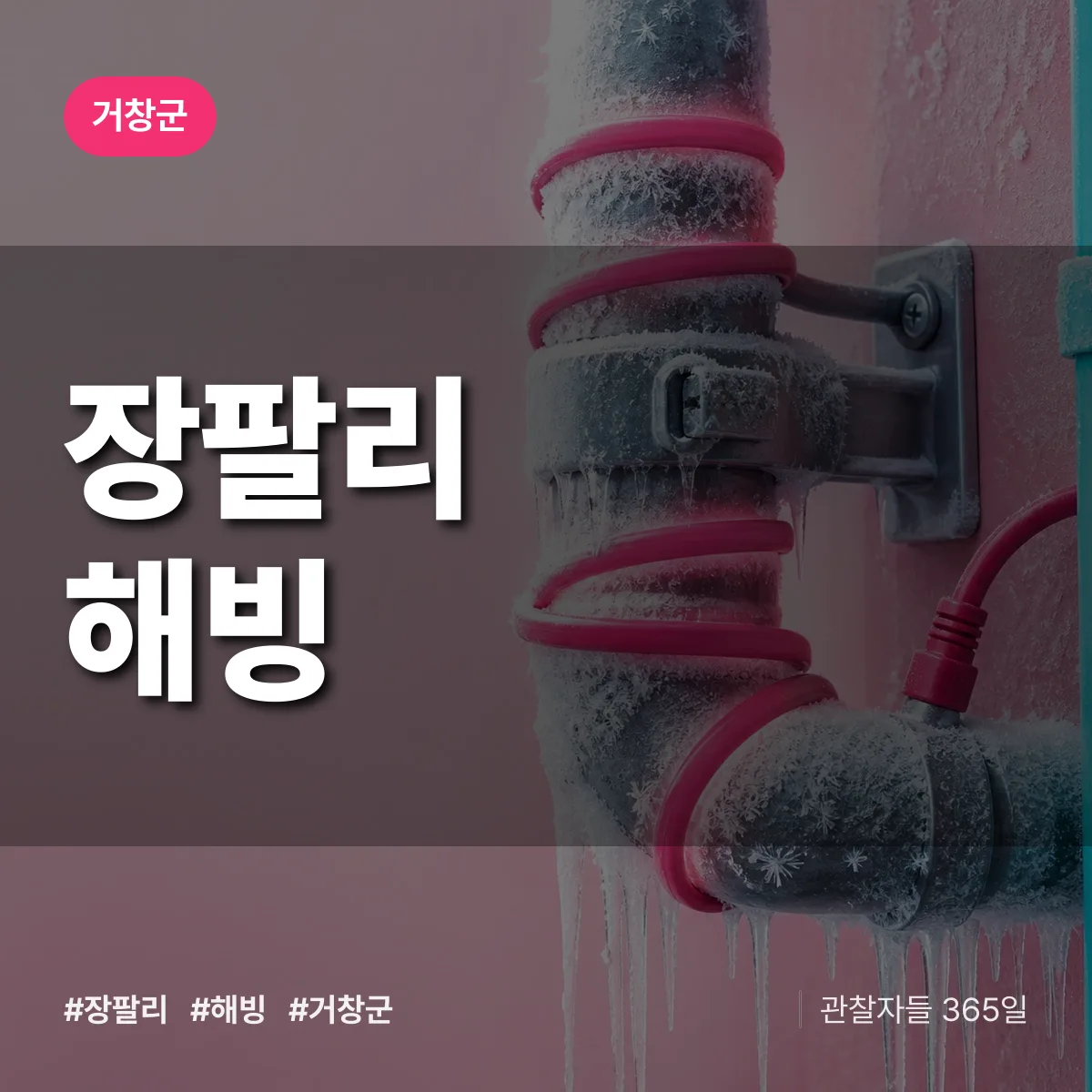장팔리 해빙 배너