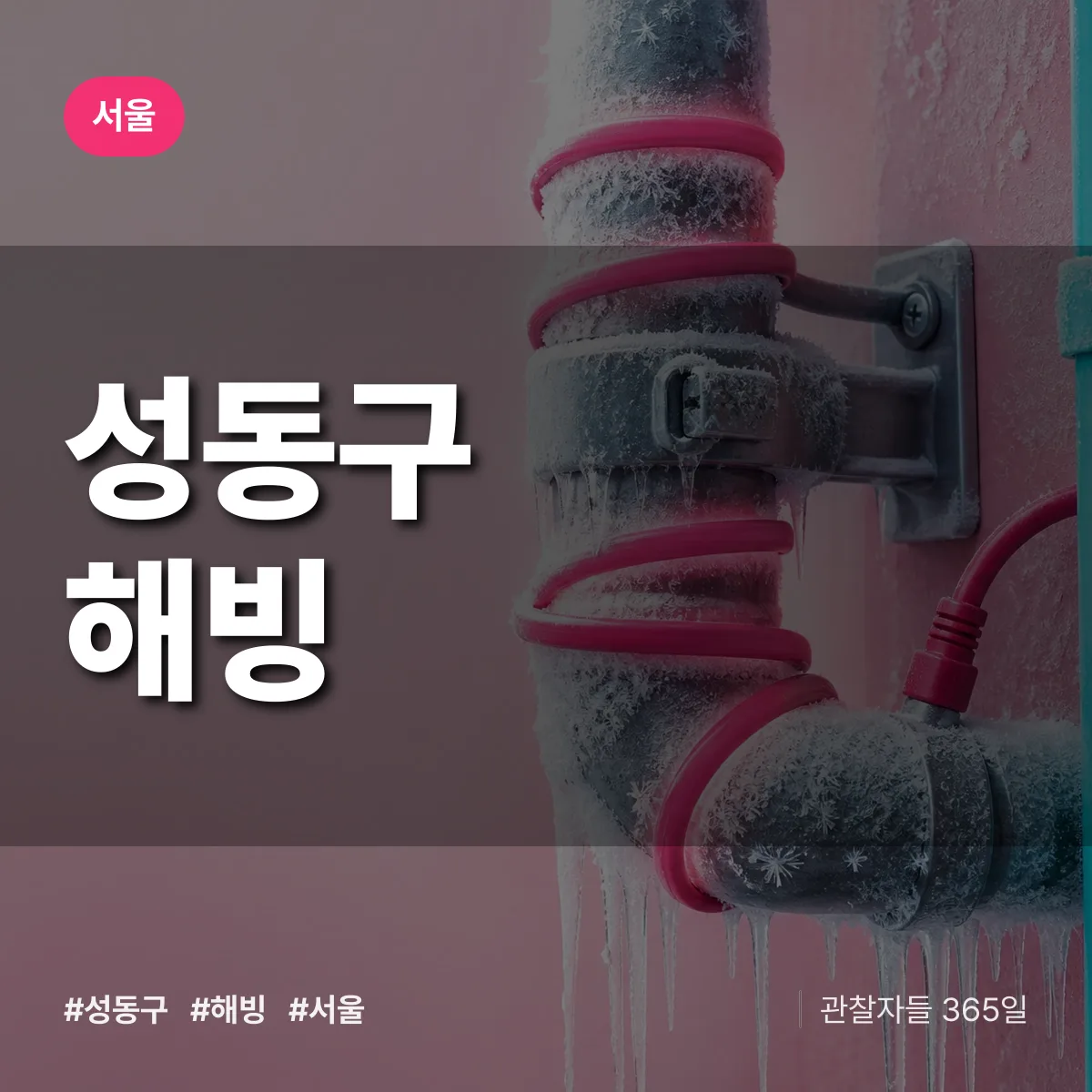 서울 성동구 해빙 상담 배너