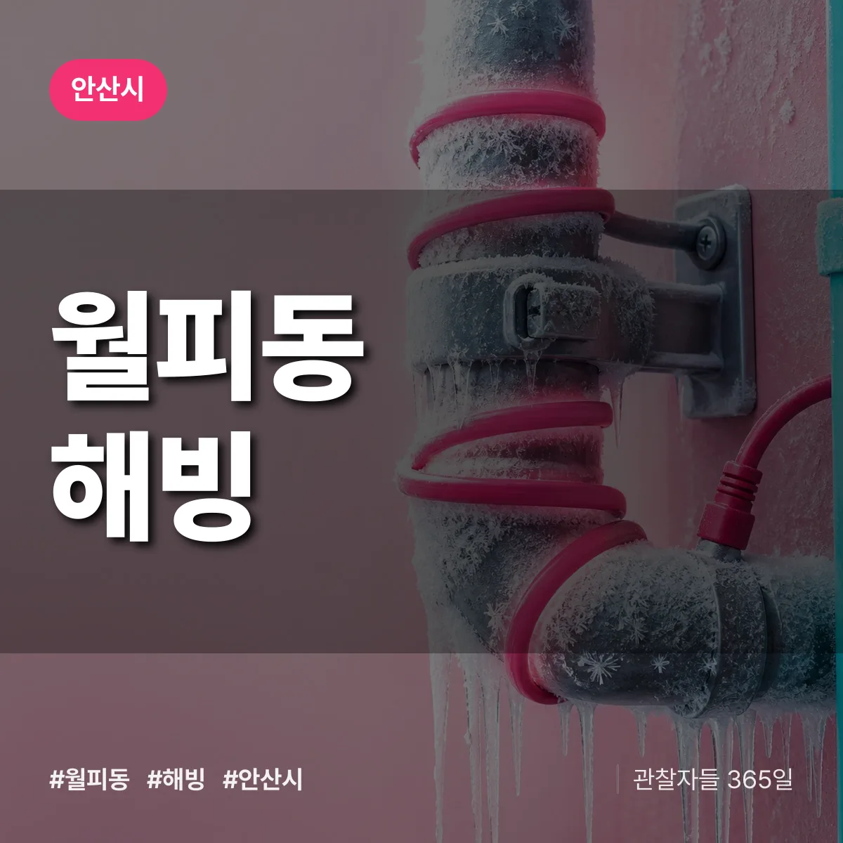 월피동 해빙 배너
