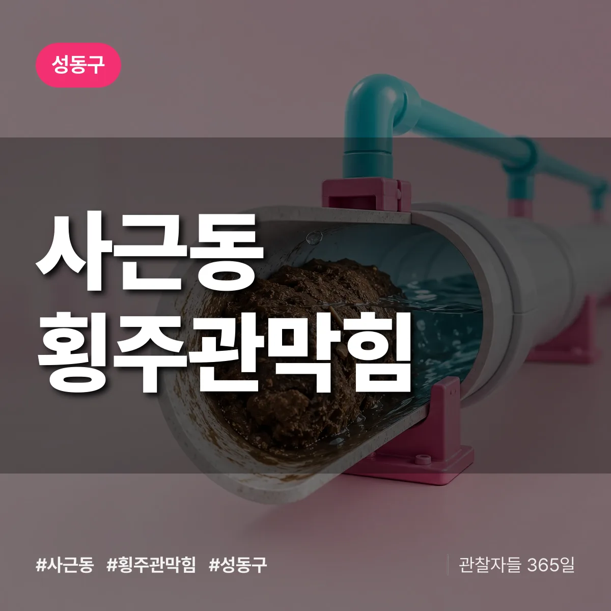 성동구 사근동 횡주관막힘 상담 배너