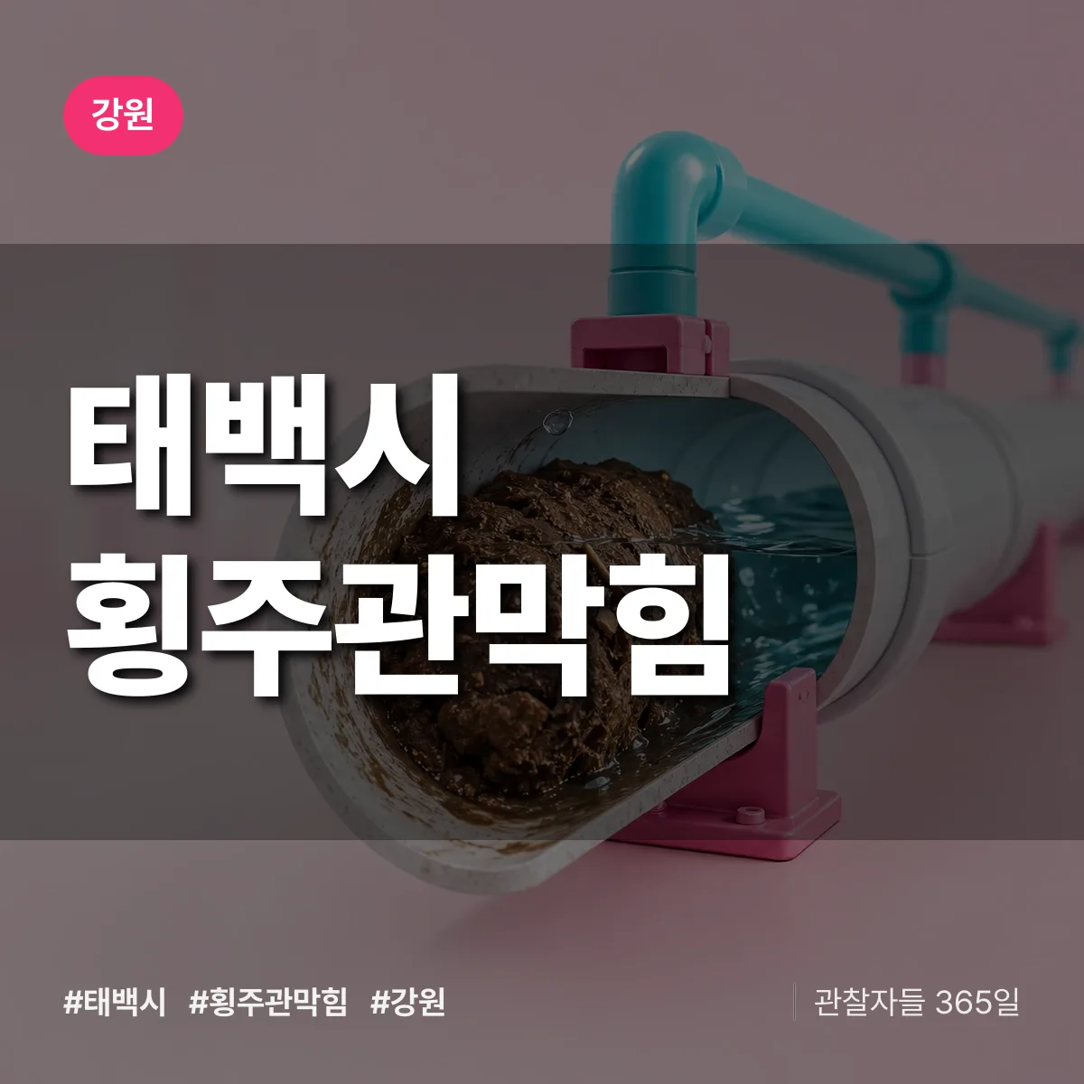 강원 태백시 횡주관막힘 배너