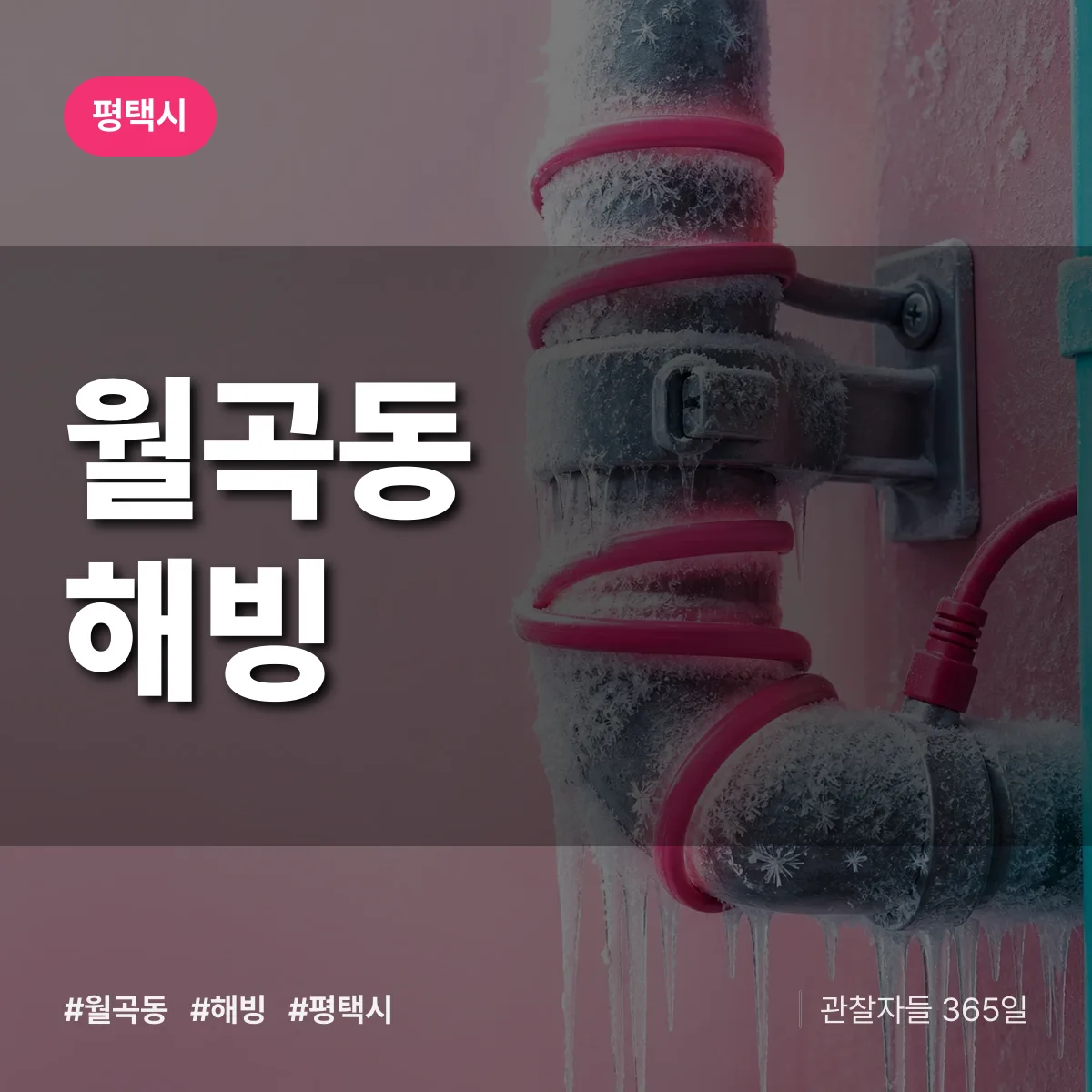 월곡동 해빙 배너