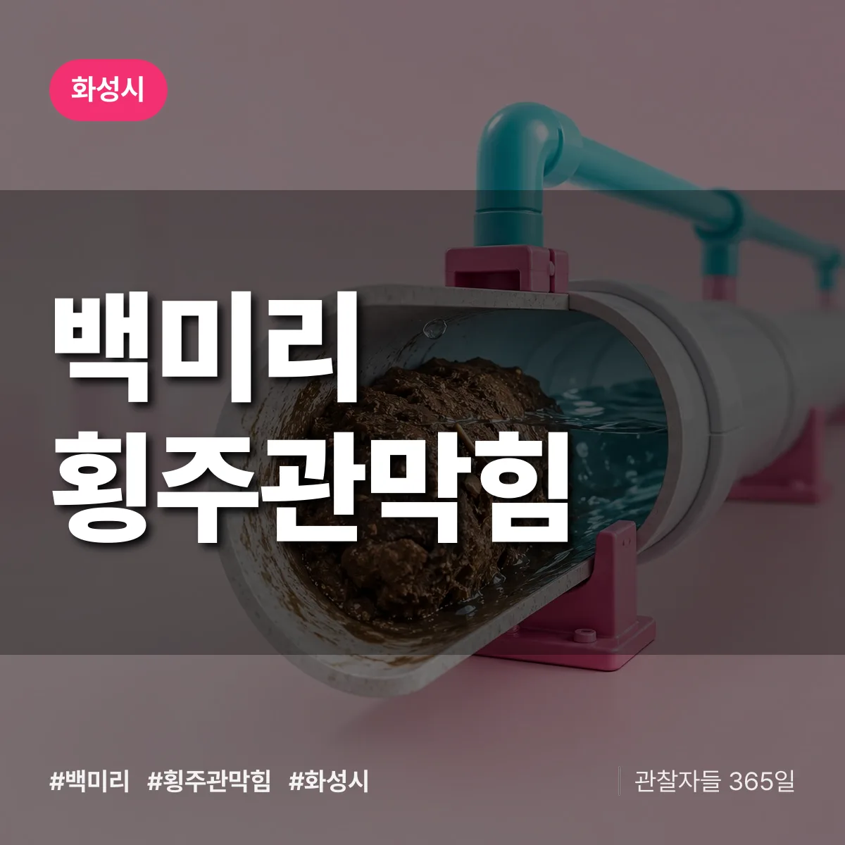 경기 화성시 백미리 횡주관막힘 배너