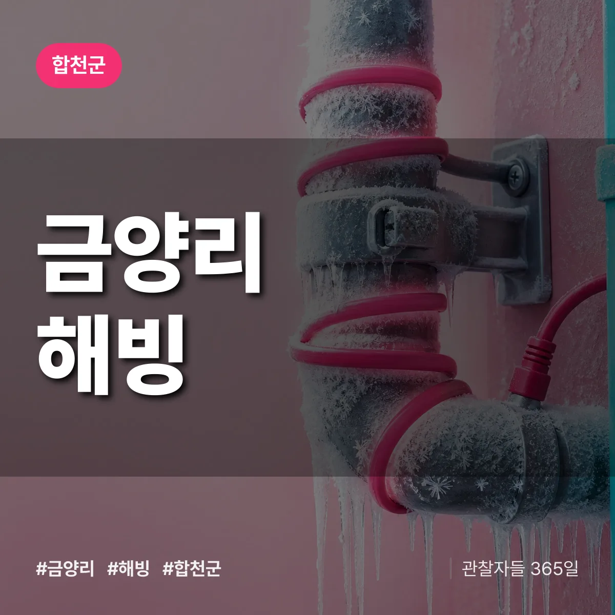 금양리 해빙 배너
