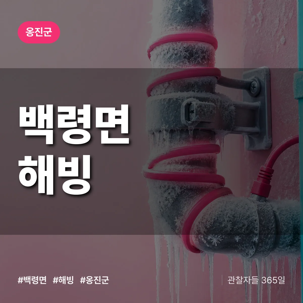 백령면 해빙 배너