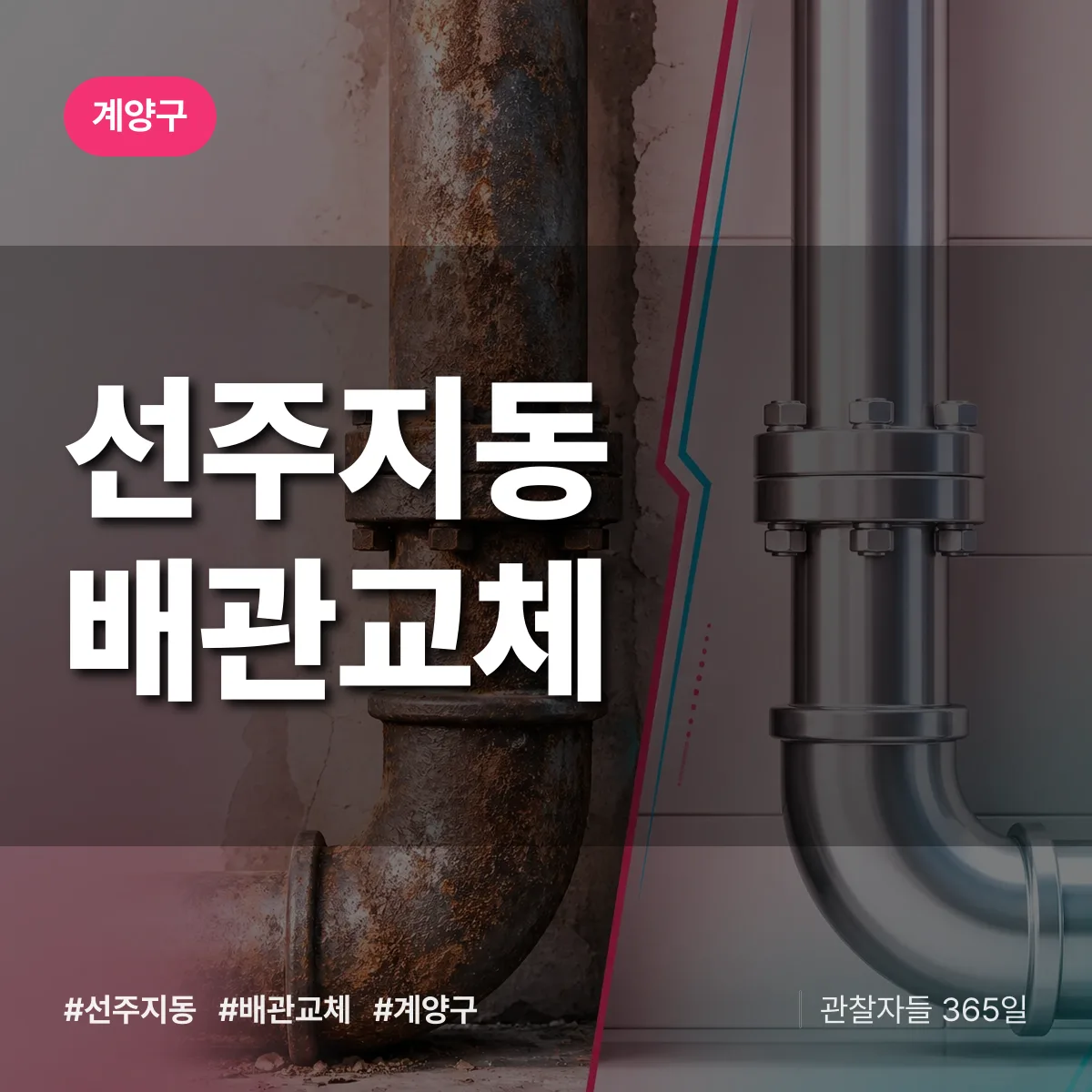 선주지동 배관 교체 배너