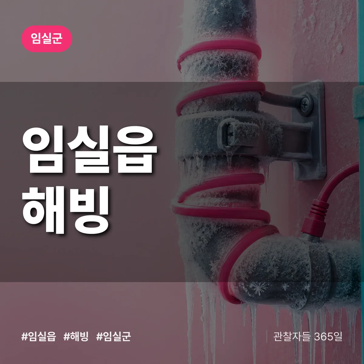 임실읍 해빙 배너