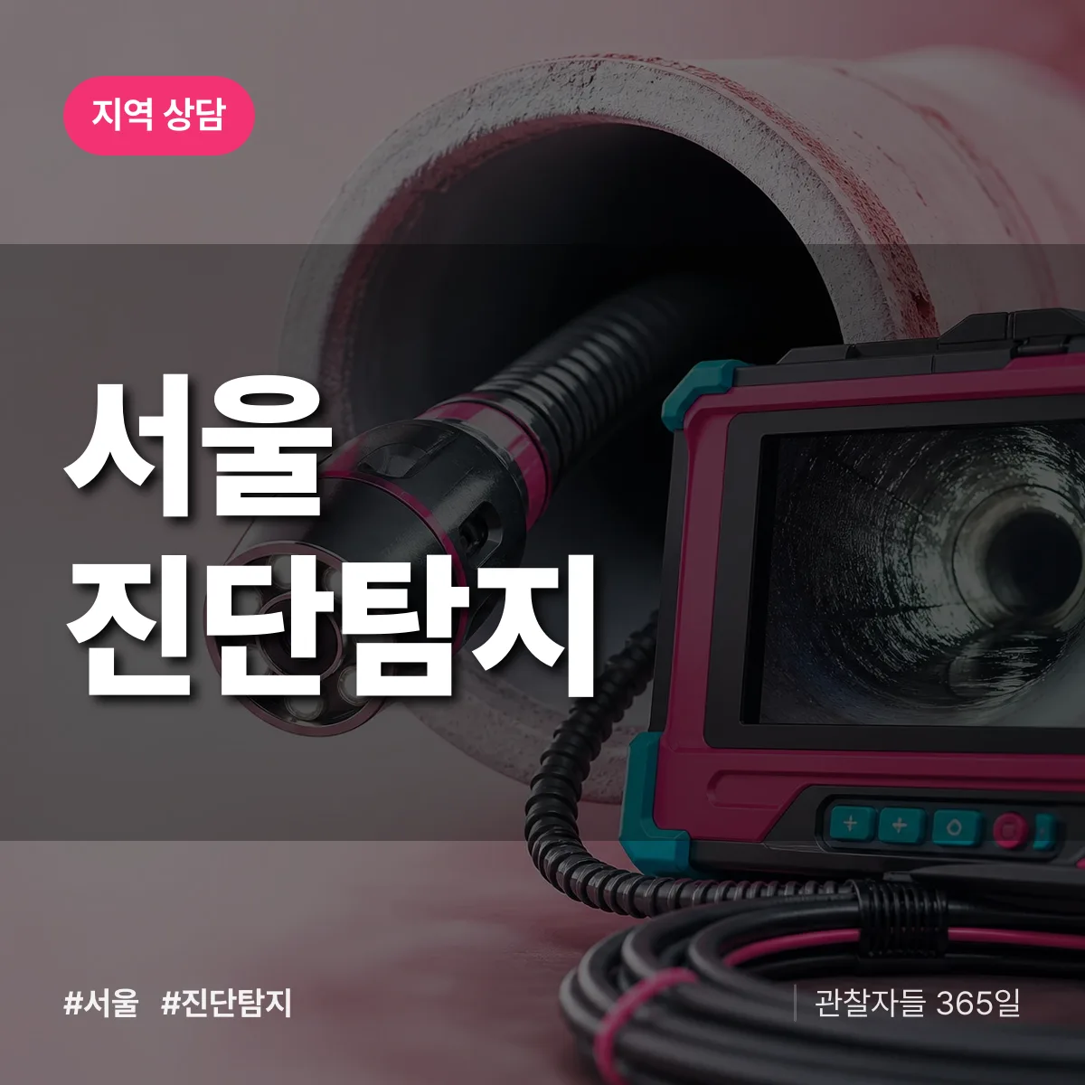 서울 진단/탐지 배너