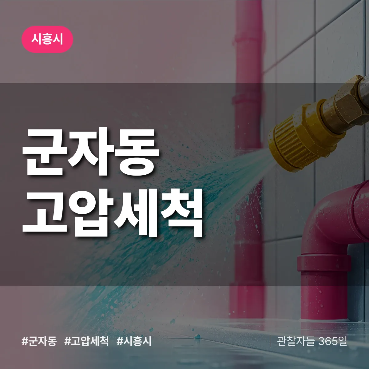 군자동 고압세척 배너