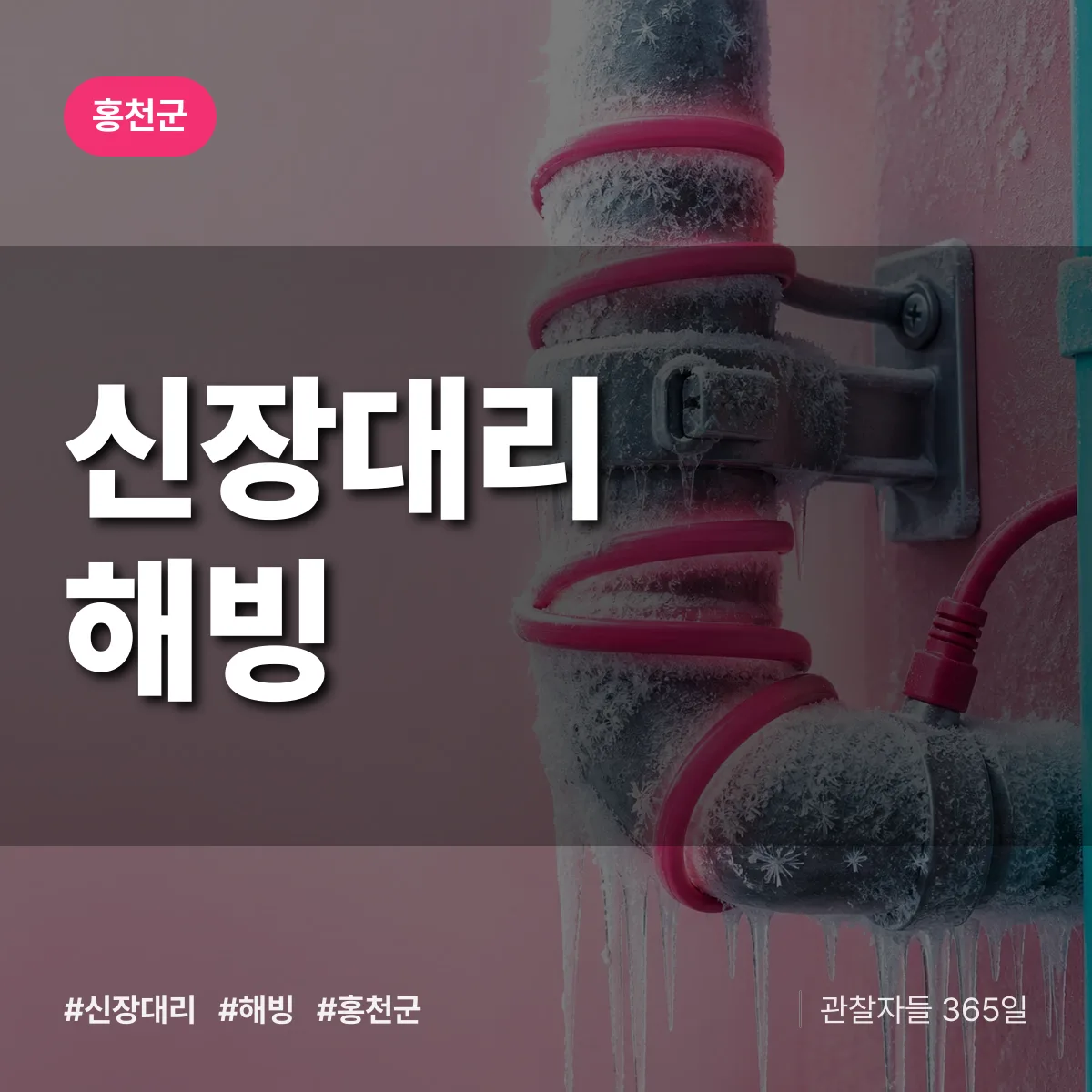 신장대리 해빙 배너