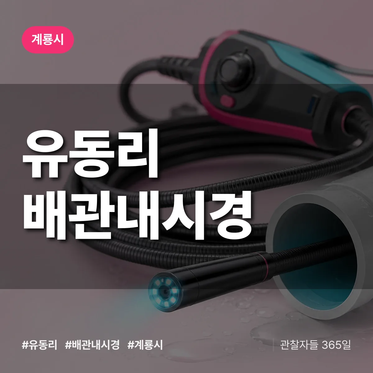 유동리 배관내시경 배너