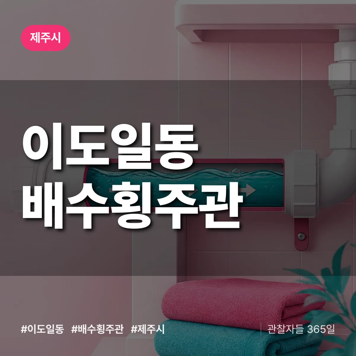 이도일동 배수횡주관 배너