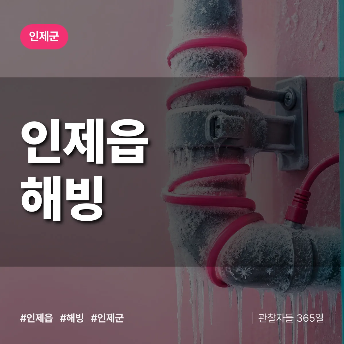 인제읍 해빙 배너