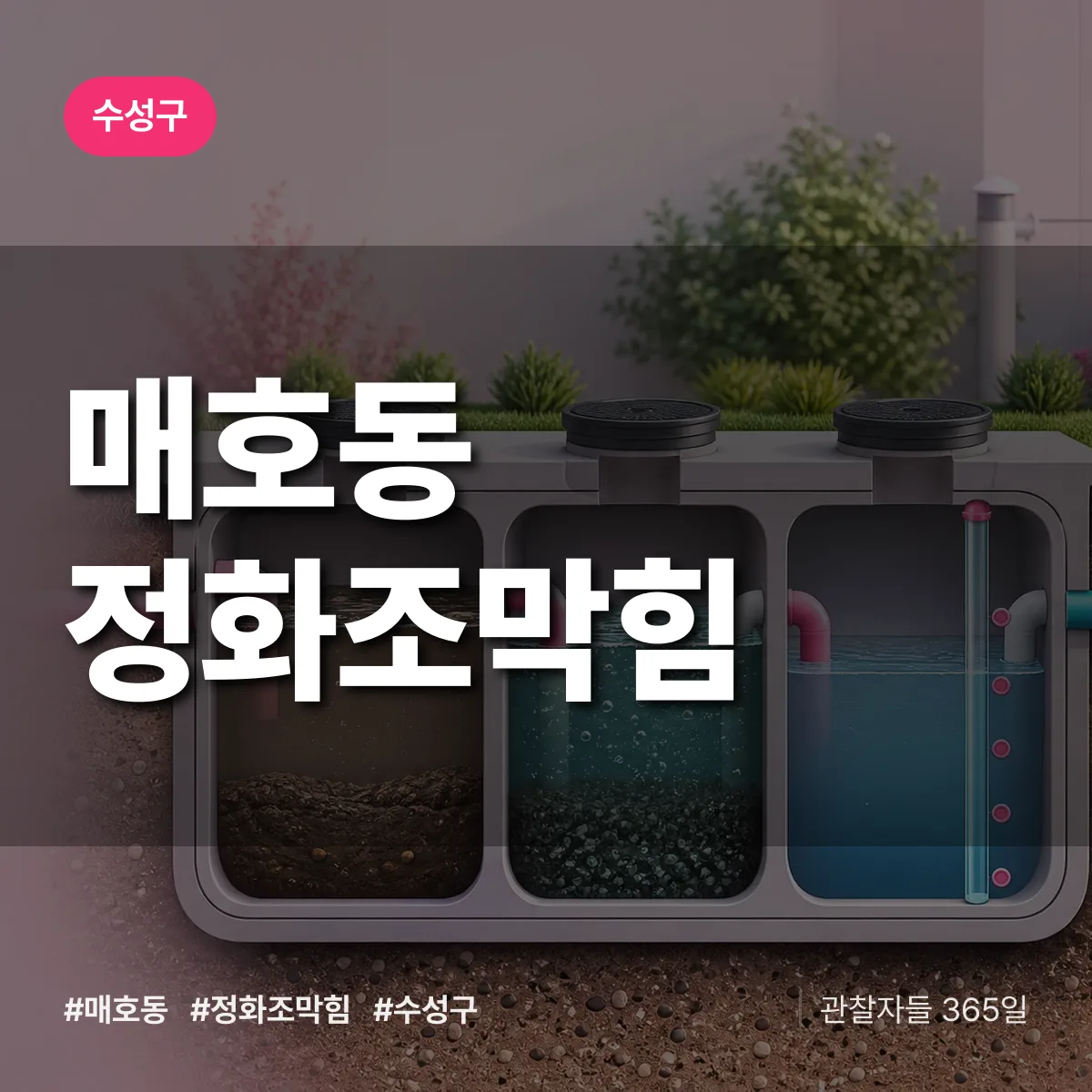 매호동 정화조막힘 배너