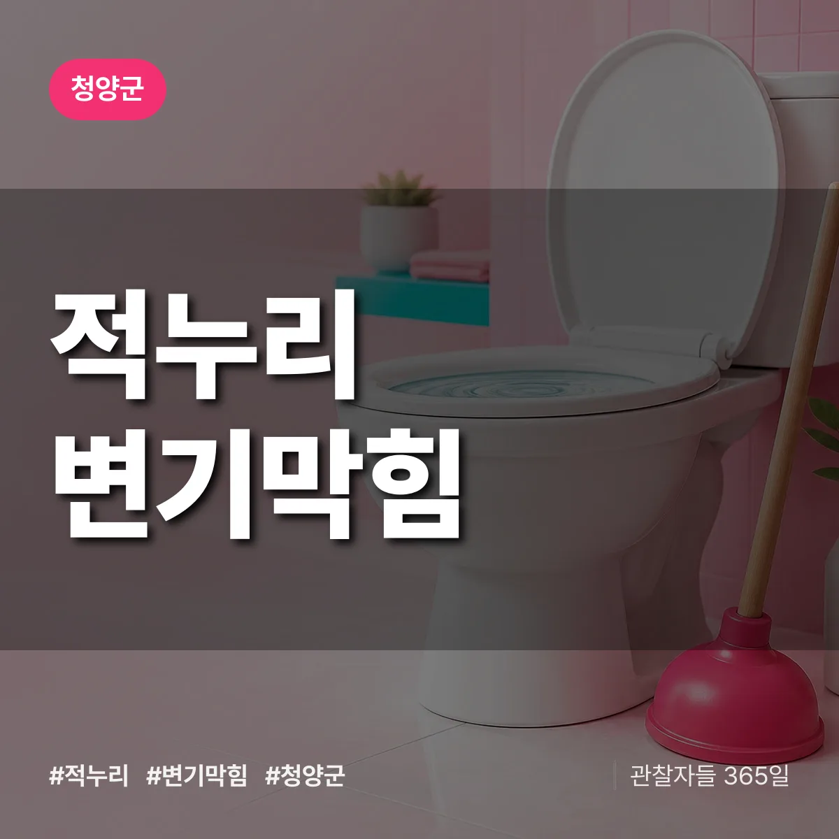 적누리 변기막힘 배너