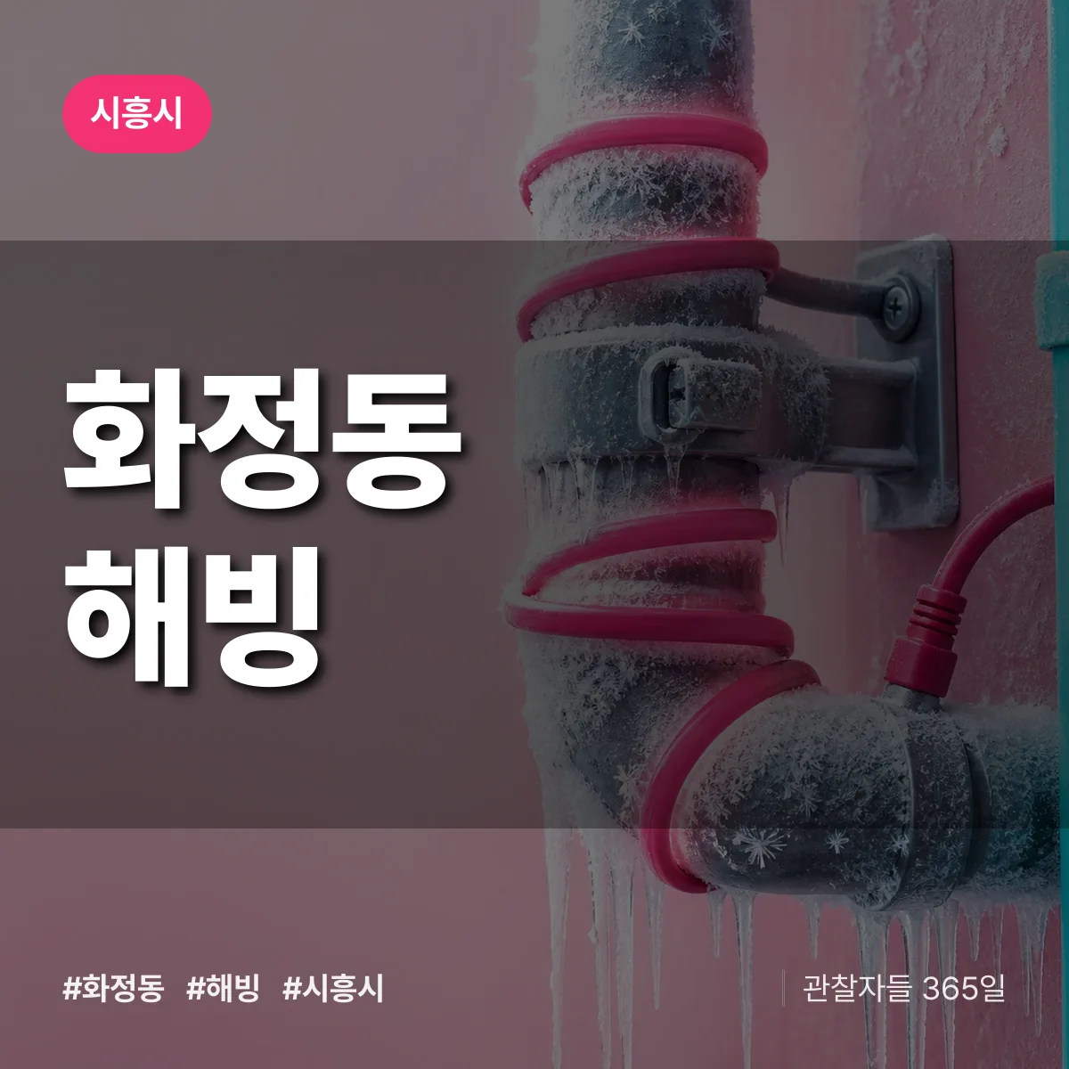 화정동 해빙 배너