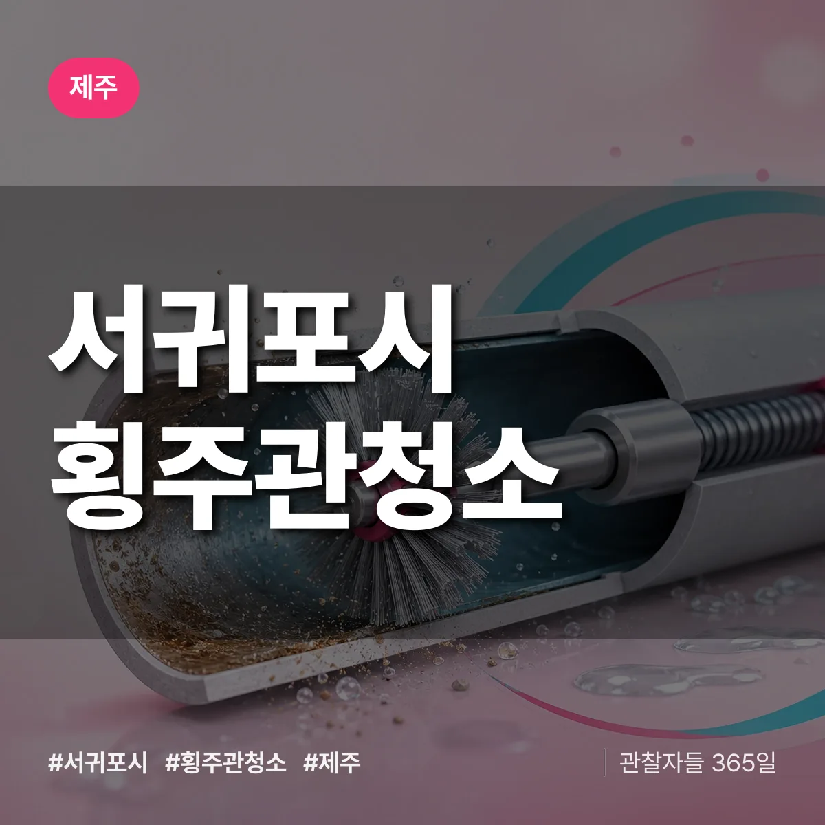 제주 서귀포시 횡주관청소 배너