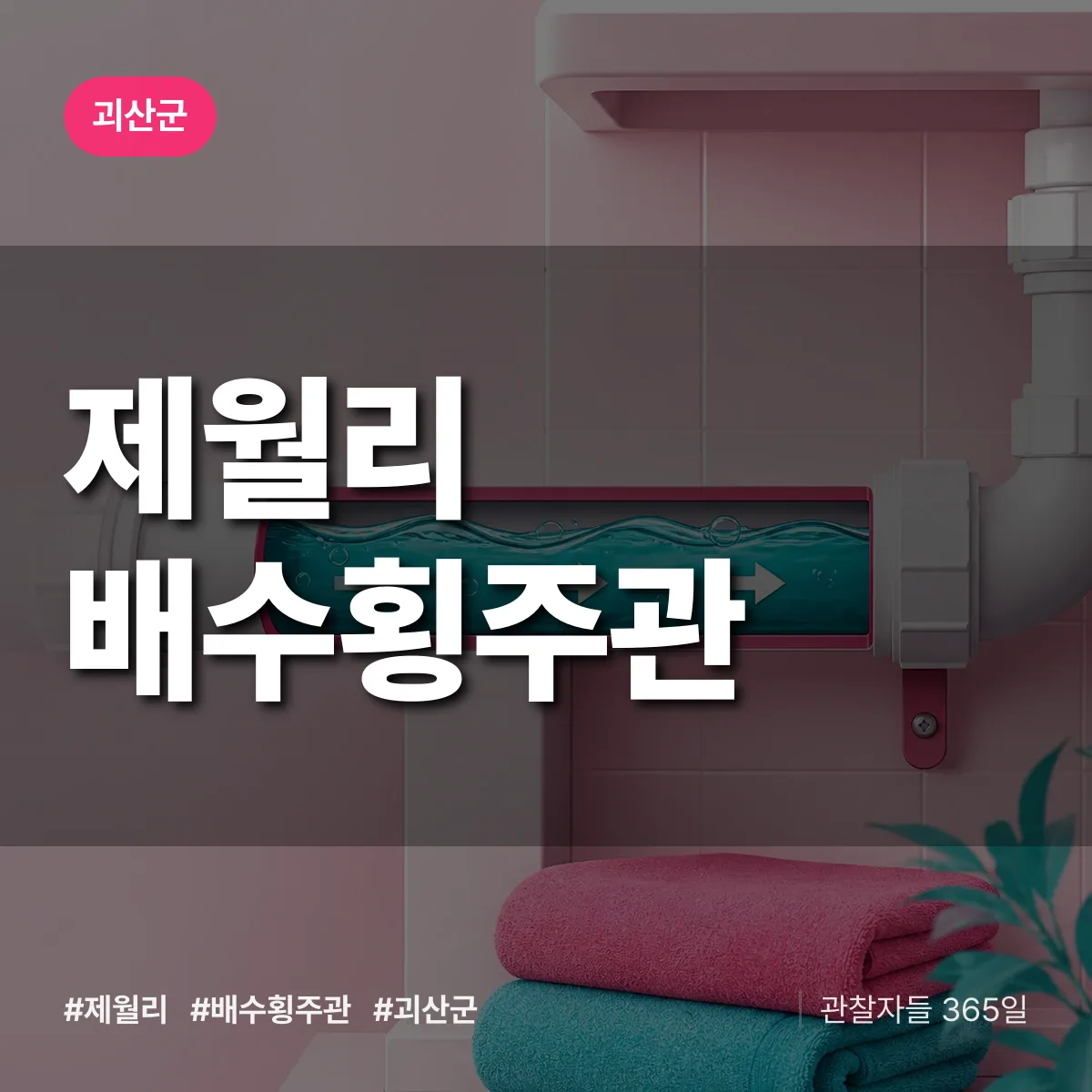 제월리 배수횡주관 배너