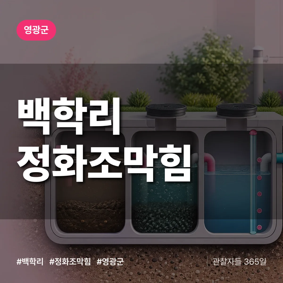 백학리 정화조막힘 배너