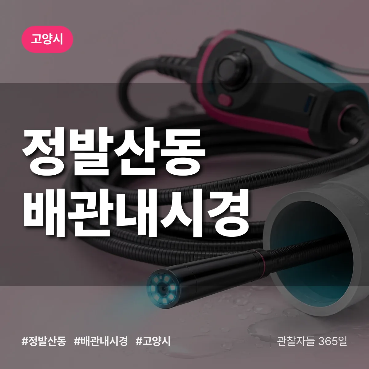 정발산동 배관내시경 배너