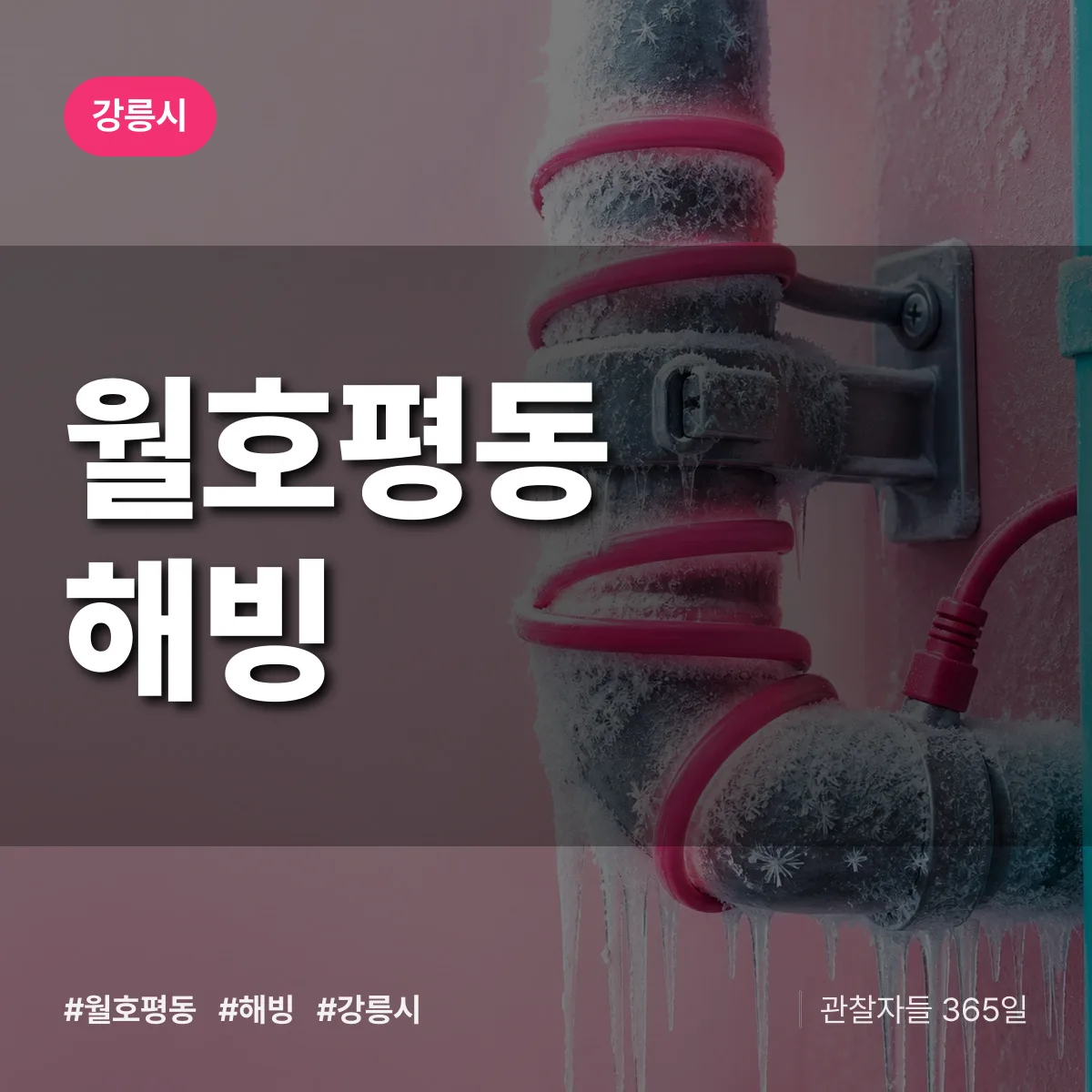 월호평동 해빙 배너