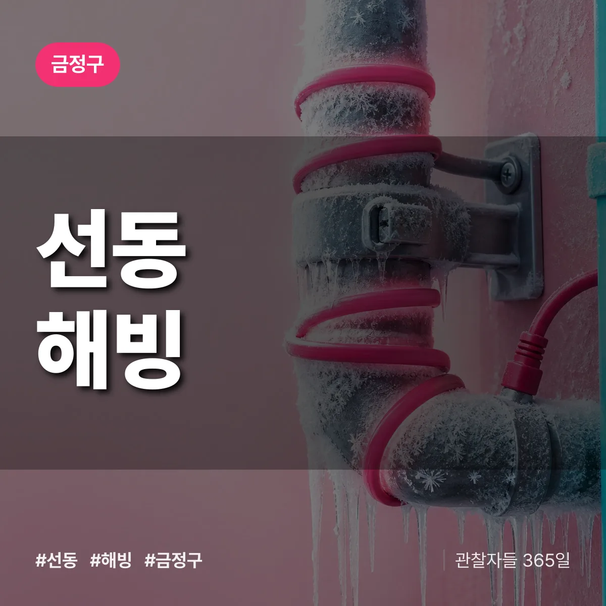 선동 해빙 배너
