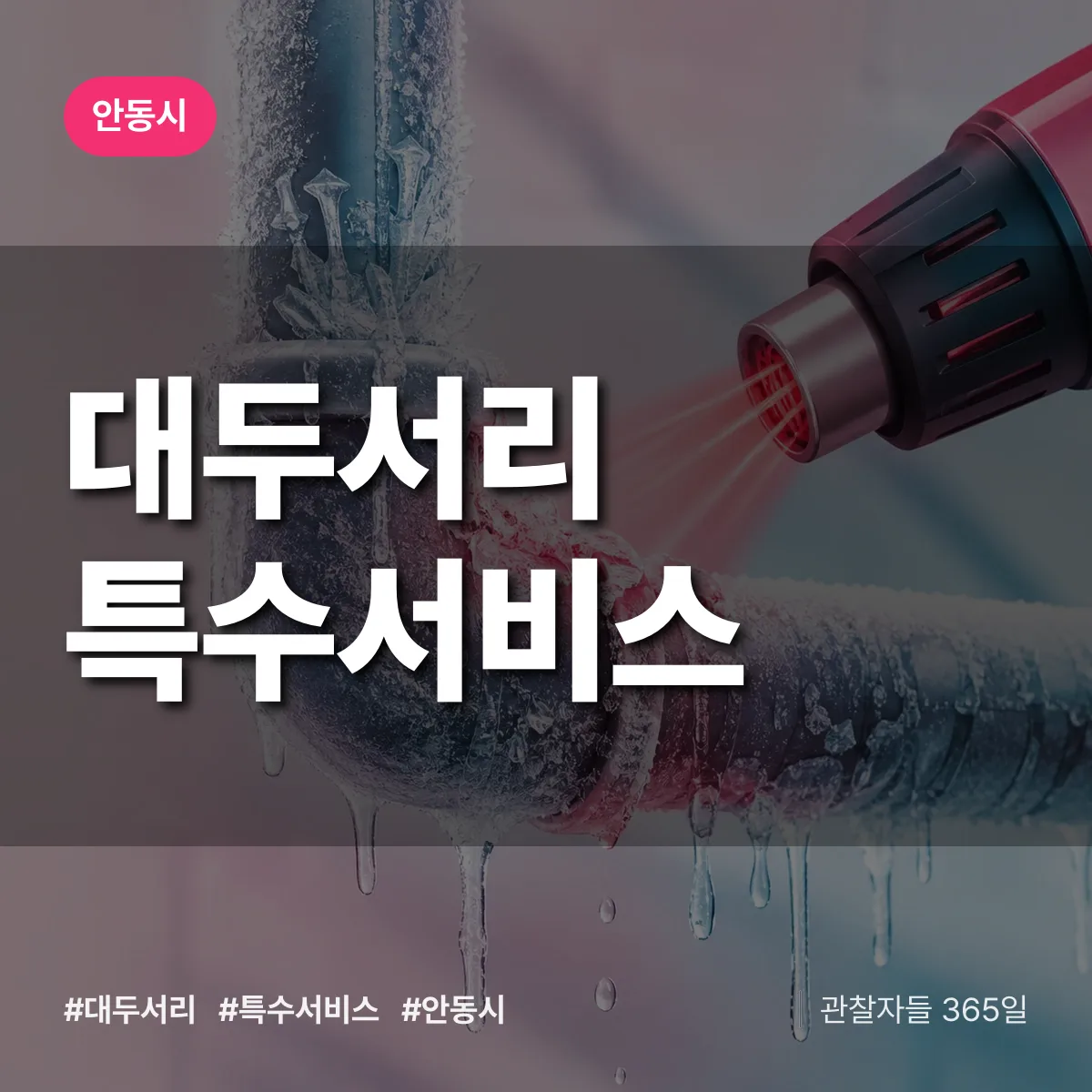 경북 안동시 대두서리 특수서비스 배너