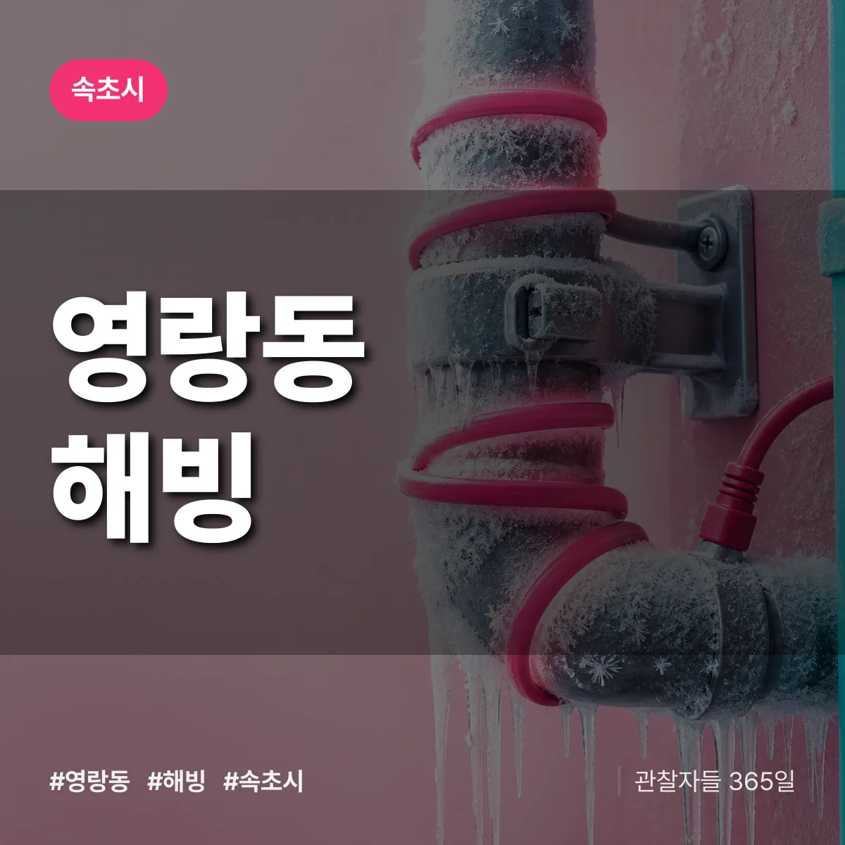 영랑동 해빙 배너