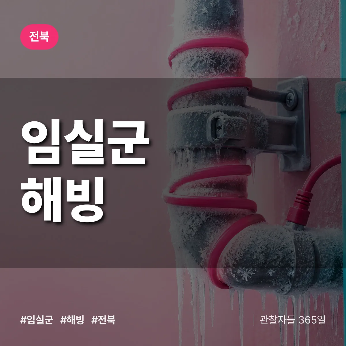 전북 임실군 해빙 배너