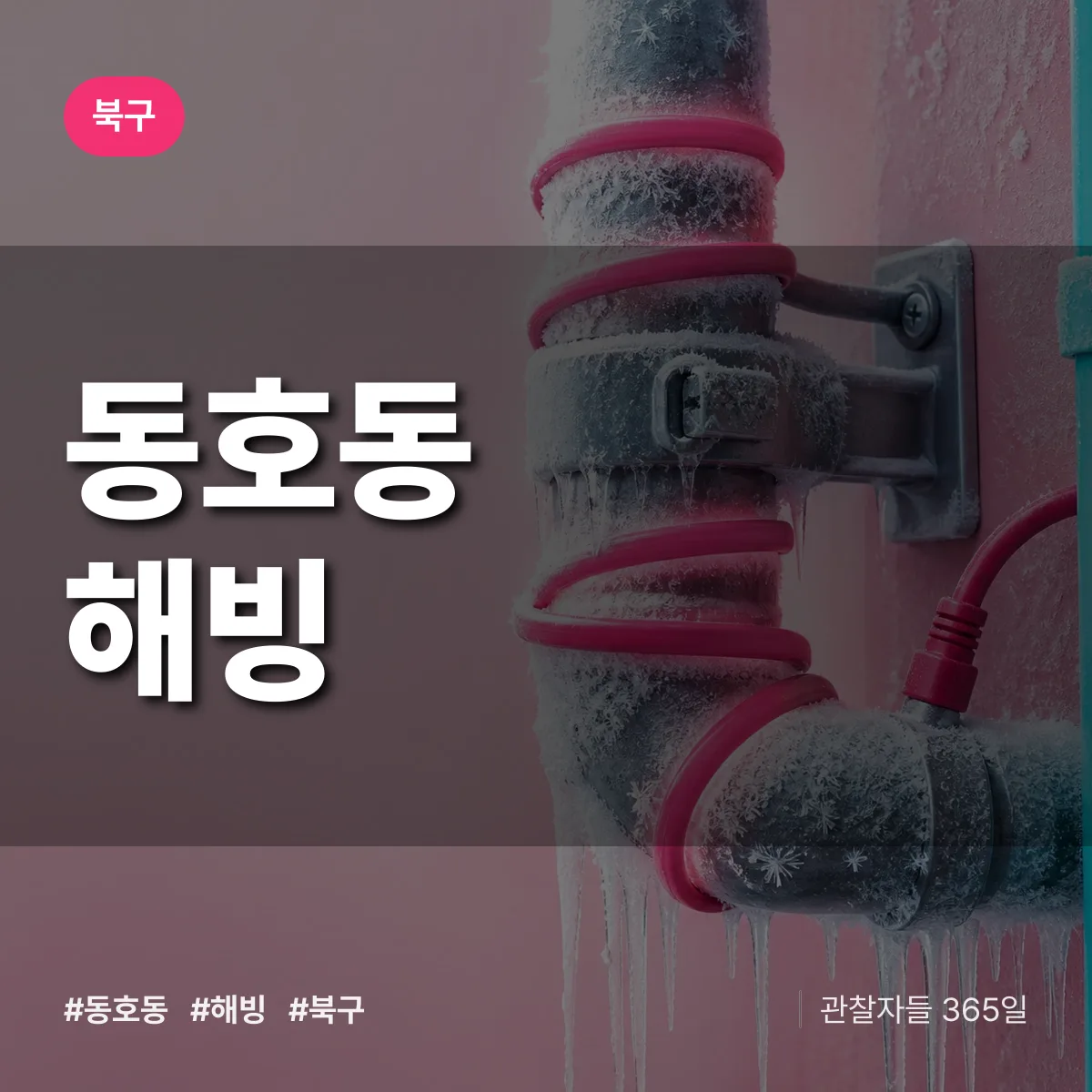 대구 북구 동호동 해빙 배너