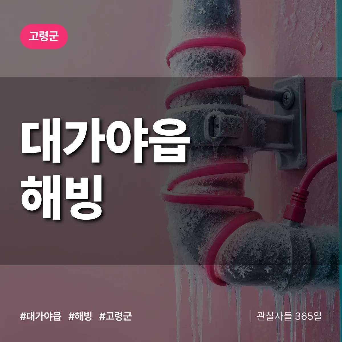 대가야읍 해빙 배너
