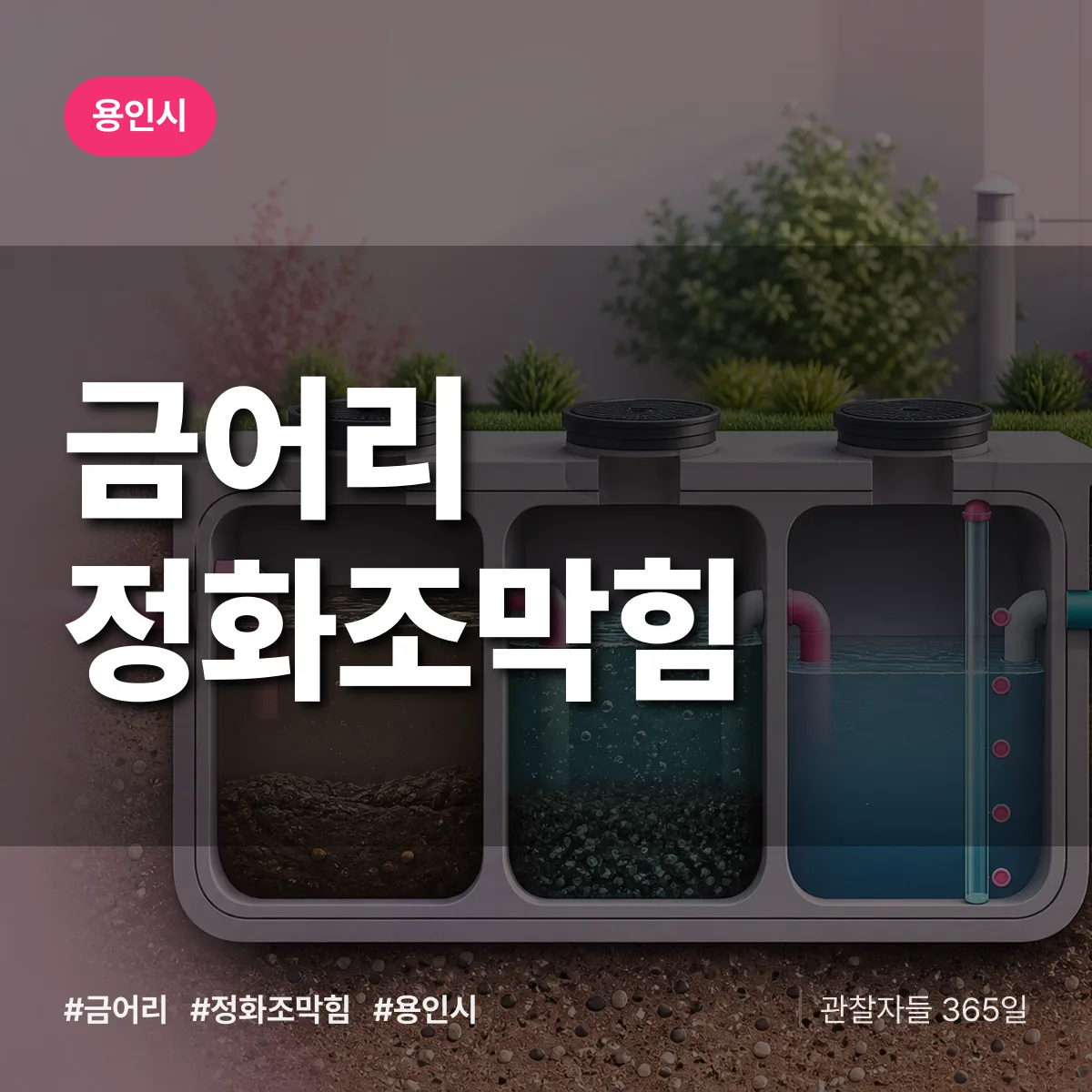 금어리 정화조막힘 배너