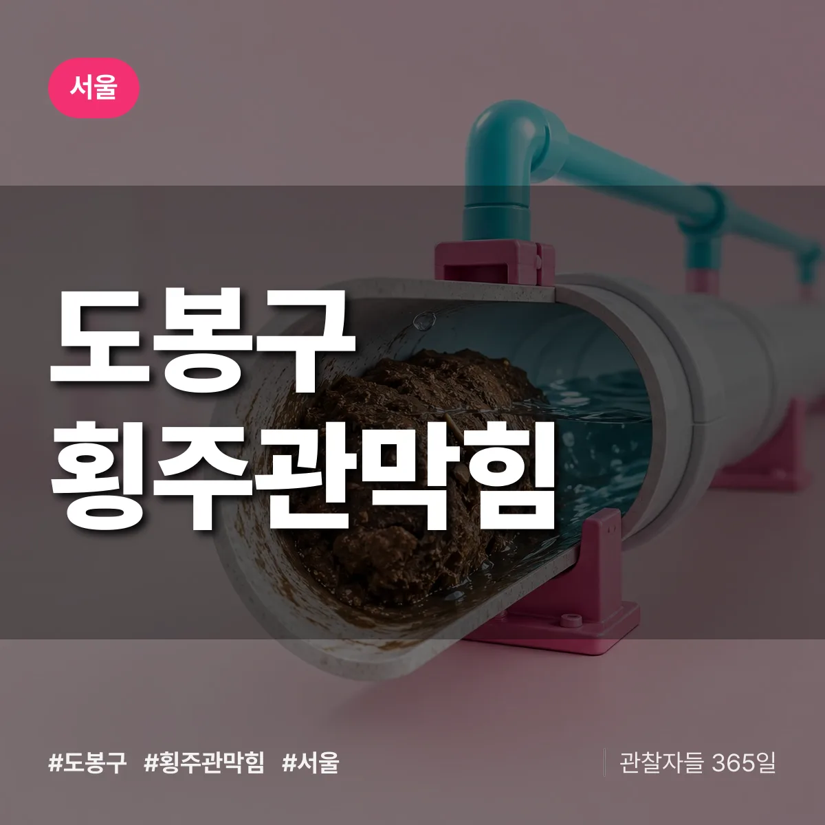 서울 도봉구 횡주관막힘 상담 배너