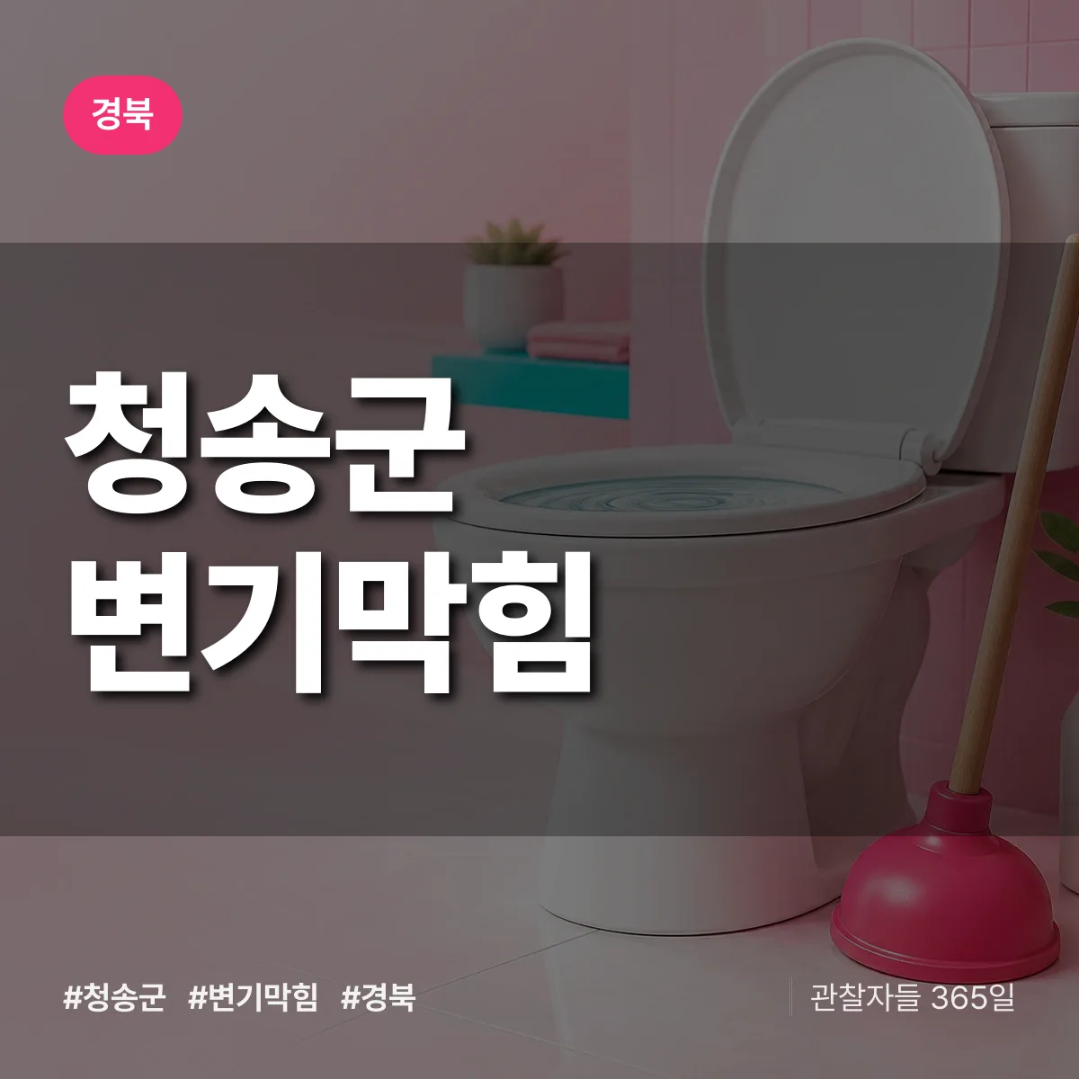 경북 청송군 변기막힘 배너