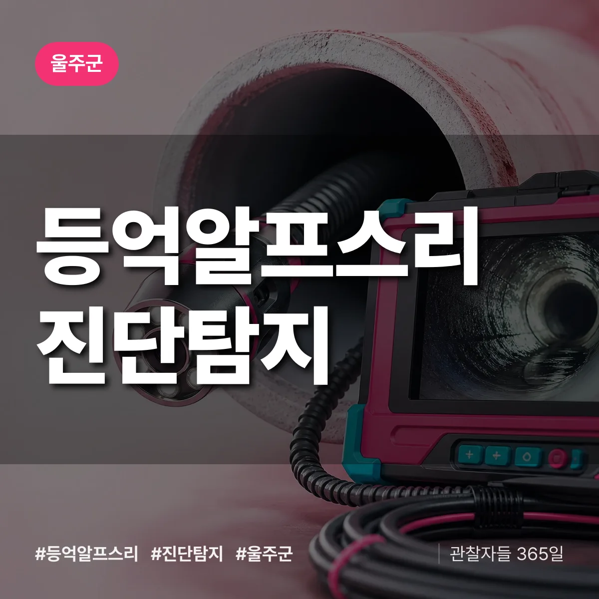 울주군 등억알프스리 진단/탐지 상담 배너