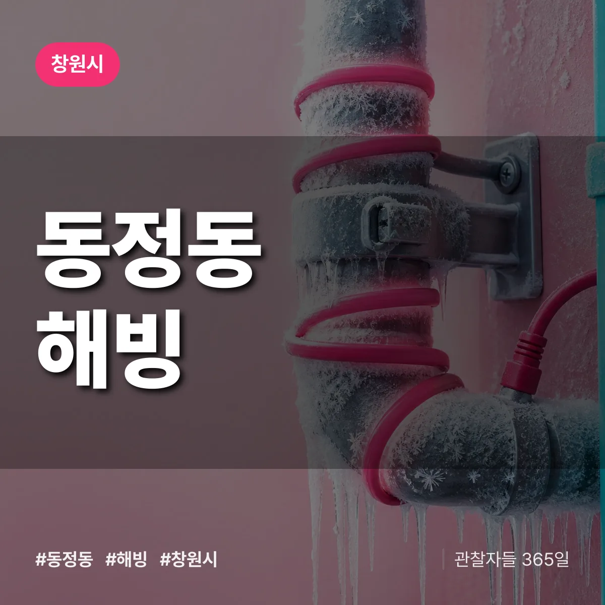 동정동 해빙 배너