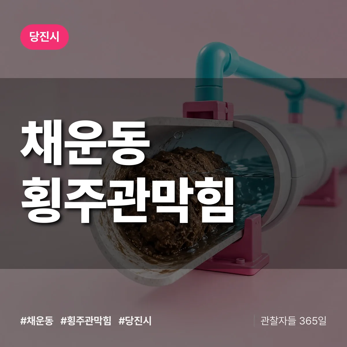 채운동 횡주관막힘 배너