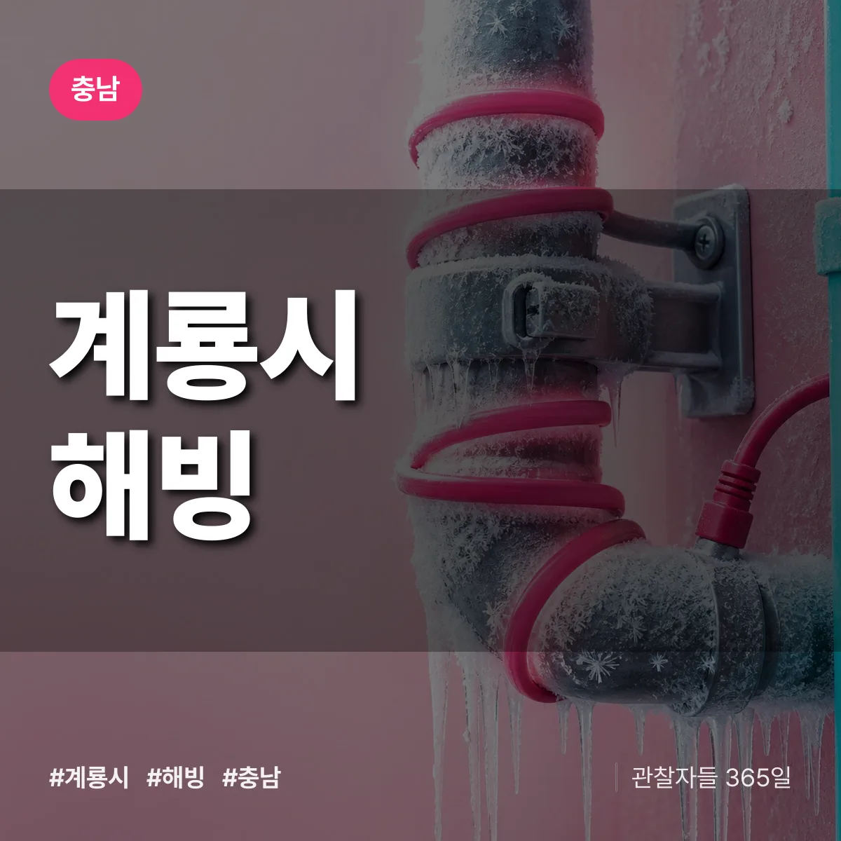 충남 계룡시 해빙 배너